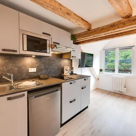 Le Studio Du Lac - Studio Quiet At The Foot Of Lake Apartment